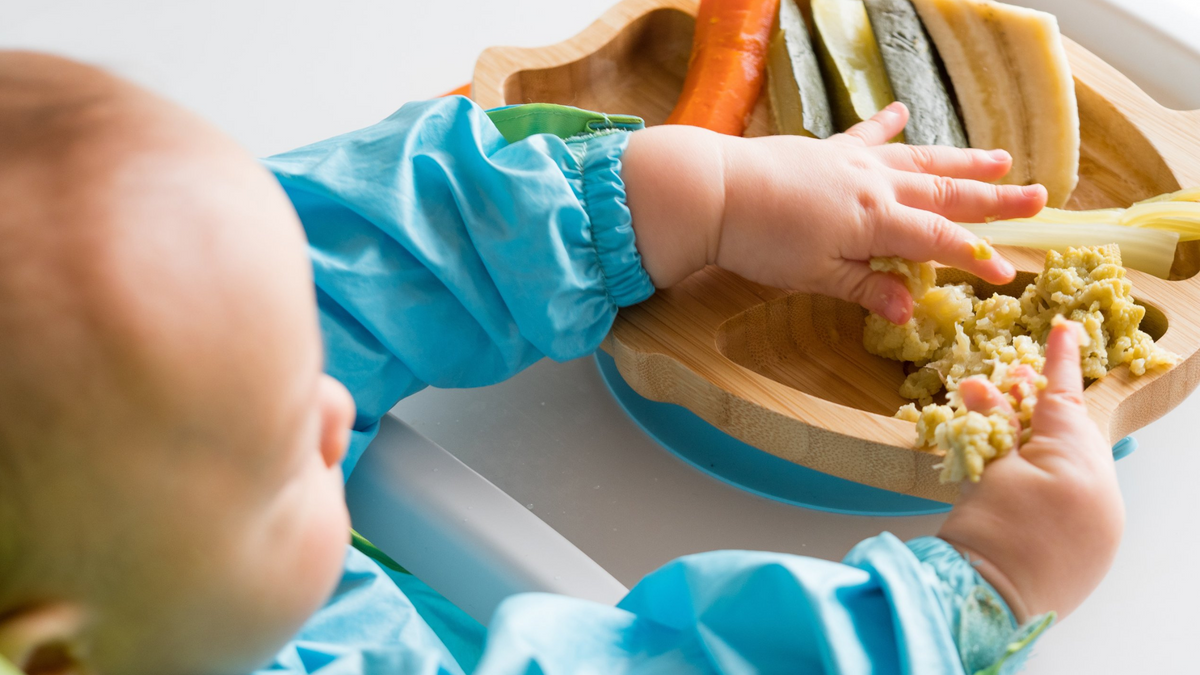 What is Baby- Led Weaning and Benefits