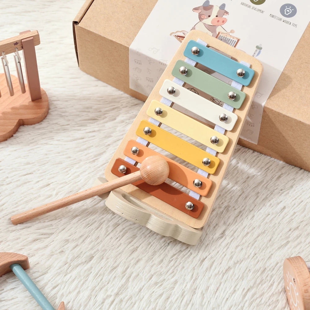 Montessori Musical Instrument Set Toys for Babies & Toddlers