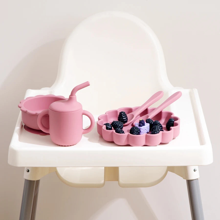 5 Pcs Lion Silicone Baby Feeding Set