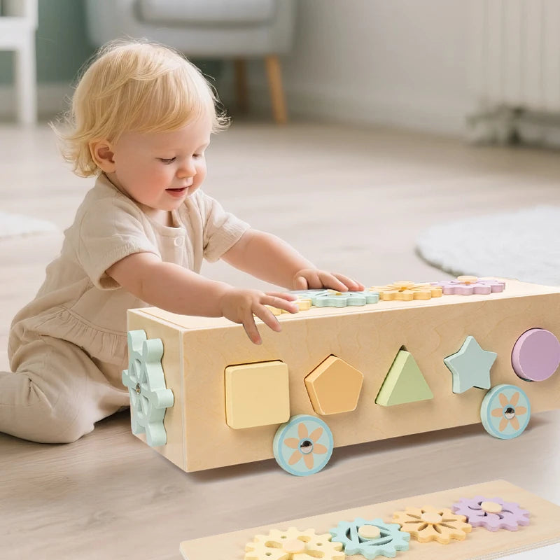 Montessori Colour Sorting & Shape Matching Toy