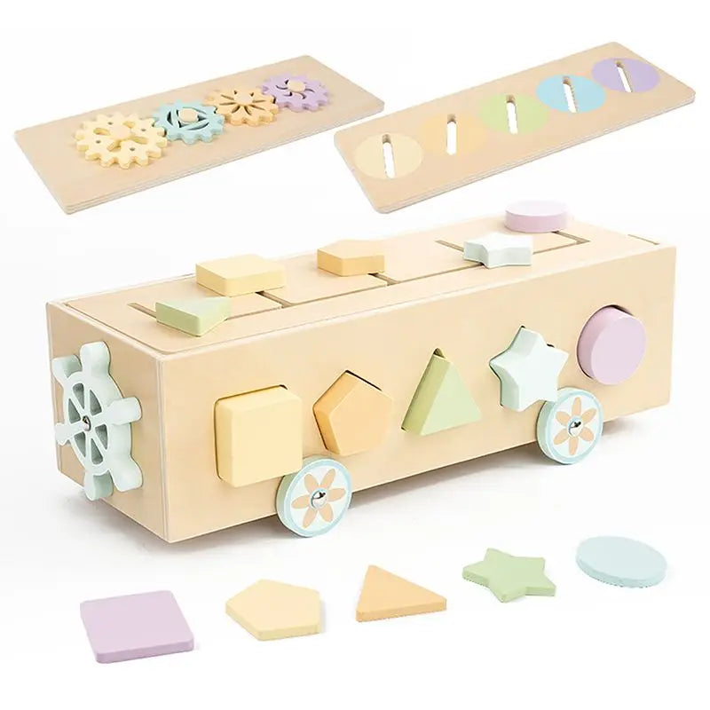 Montessori Colour Sorting & Shape Matching Toy