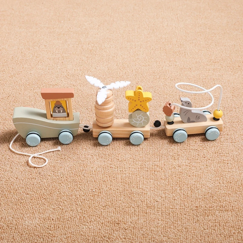 Pull-String Wooden Montessori Educational Toy