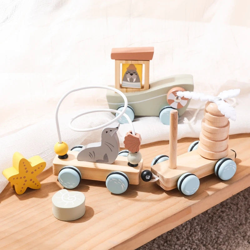 Pull-String Wooden Montessori Educational Toy