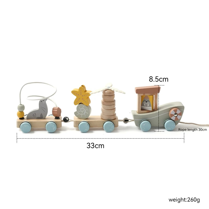 Pull-String Wooden Montessori Educational Toy