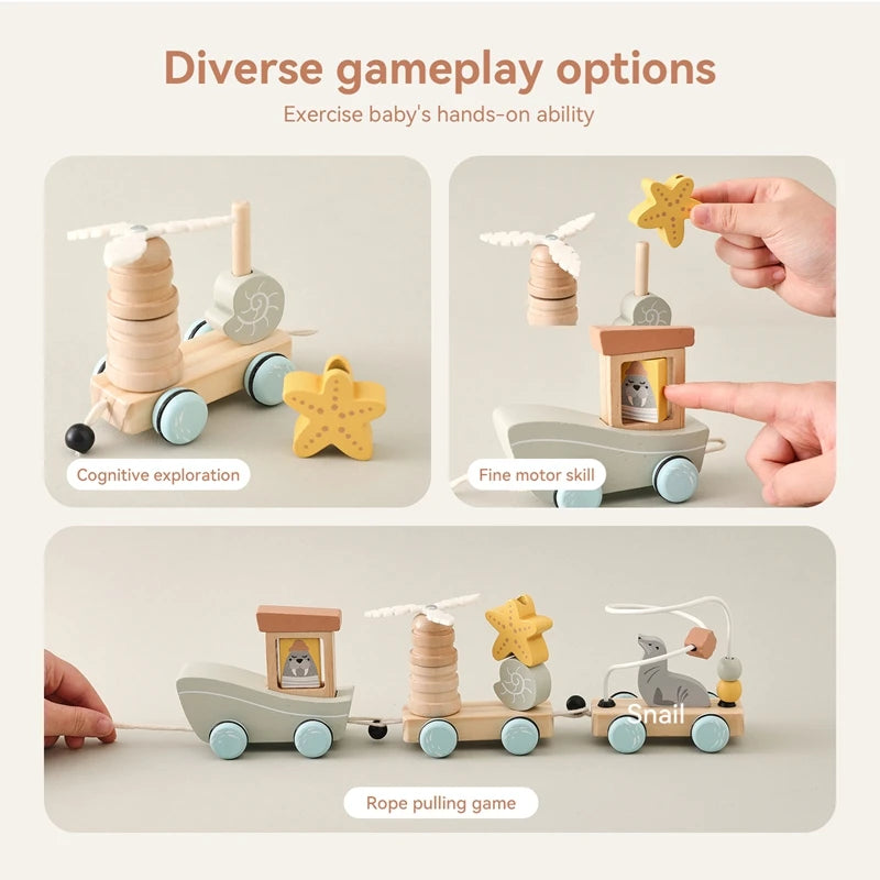 Pull-String Wooden Montessori Educational Toy